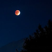 toroweap-850-59.jpg toroweap-850-59.jpg