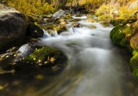 10.14.15 McGee Creek Square Crop.jpg