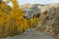 10.14.15 Not Colorado.jpg