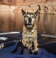 IMG_8969.jpg IMG_8969.jpg