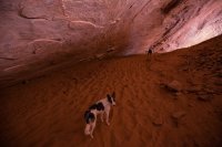 escalante-2015-850-10.jpg escalante-2015-850-10.jpg