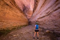 escalante-2015-850-26.jpg escalante-2015-850-26.jpg