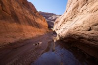 escalante-2015-850-28.jpg escalante-2015-850-28.jpg