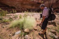 escalante-2015-850-37.jpg escalante-2015-850-37.jpg