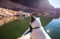 escalante-2015-850-53.jpg escalante-2015-850-53.jpg