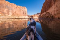 escalante-2015-850-56.jpg escalante-2015-850-56.jpg