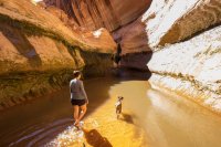 escalante-2015-850-69.jpg escalante-2015-850-69.jpg