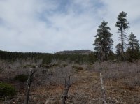 S0064008.JPG S0064008.JPG