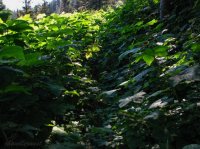 IMG_2620.jpg IMG_2620.jpg