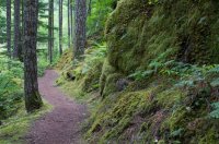 NC Rock wall to Trail.jpg NC Rock wall to Trail.jpg