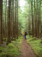 NC Jo in the tall tress.jpg NC Jo in the tall tress.jpg