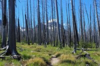 IMG_1908.jpg IMG_1908.jpg