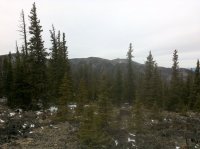 DSC00049.jpg DSC00049.jpg