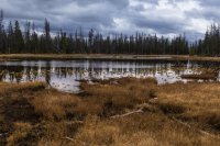 Lily Lakes.jpg Lily Lakes.jpg