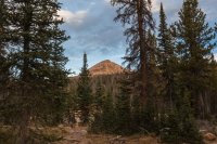 Watson.jpg Watson.jpg