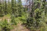 Middle Fork trail flag.jpg Middle Fork trail flag.jpg