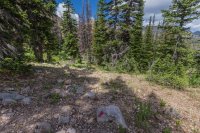 Middle Fork trail paint.jpg Middle Fork trail paint.jpg