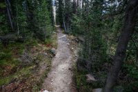 Wide trail.jpg Wide trail.jpg