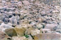 E4 pic 8.JPG E4 pic 8.JPG