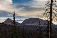 Pic 1 2.jpg Pic 1 2.jpg