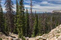 Pic 15.jpg Pic 15.jpg