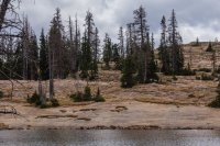 Pic 18.jpg Pic 18.jpg