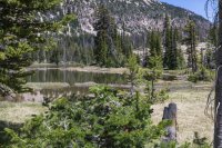 Pic 19.jpg Pic 19.jpg