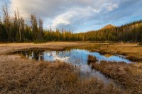 Ponds Lake.jpg Ponds Lake.jpg