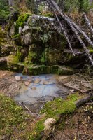 Spring.jpg Spring.jpg