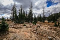 Clyde loop split.jpg Clyde loop split.jpg