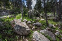 Cenotaph wide.jpg Cenotaph wide.jpg