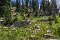 Hill behind Cenotaph.jpg Hill behind Cenotaph.jpg