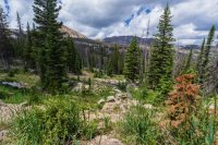 Middle Fork from Cenotaph.jpg Middle Fork from Cenotaph.jpg