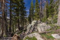 Cenotaph south view.jpg Cenotaph south view.jpg
