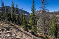 Path near Cenotaph.jpg Path near Cenotaph.jpg