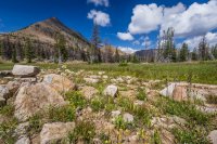 Long divide.jpg Long divide.jpg