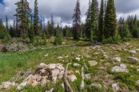 Middle Fork trail split.jpg Middle Fork trail split.jpg