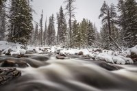 Trial Lake inlet.jpg Trial Lake inlet.jpg