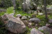 Cenotaph decision.jpg Cenotaph decision.jpg