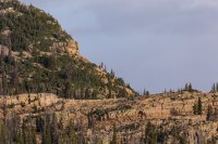 Notch detail.jpg Notch detail.jpg