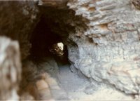 scan0172.jpg scan0172.jpg