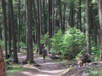 SnyderRidgeIMG_3706.jpg SnyderRidgeIMG_3706.jpg