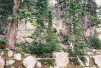 387894-R1-12_small.jpg 387894-R1-12_small.jpg