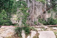 387894-R1-11_small.jpg 387894-R1-11_small.jpg