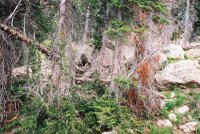 387894-R1-9_small.jpg 387894-R1-9_small.jpg