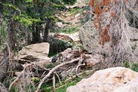 387894-R1-8_small.jpg 387894-R1-8_small.jpg