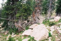 387894-R1-7_small.jpg 387894-R1-7_small.jpg