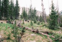 387894-R1-5_small.jpg 387894-R1-5_small.jpg