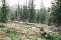 387894-R1-4_small.jpg 387894-R1-4_small.jpg