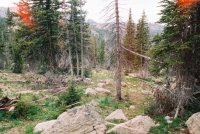 387894-R1-3_small.jpg 387894-R1-3_small.jpg